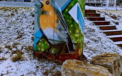 Wo sind unsere Wintervögel?