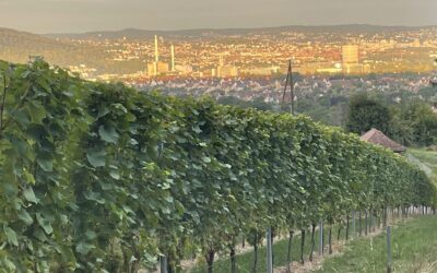 Podcast – Folge 2 – „Ein Degerschlachter geht weiter – Vorbereitung auf den Kölnpfad“