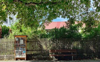 Die Bank beim Bücherschrank unter der Kastanie …