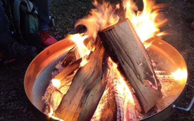 Nun werden auch die Tage wieder länger …