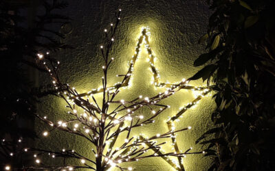 Ein Spaziergang durch das vorweihnachtliche Degerschlacht