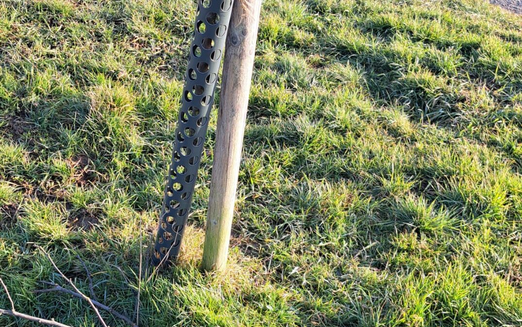 Wer macht so was – zweiter Teil …