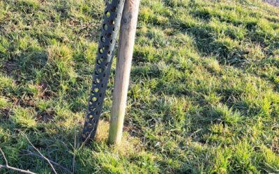 Wer macht so was – zweiter Teil …